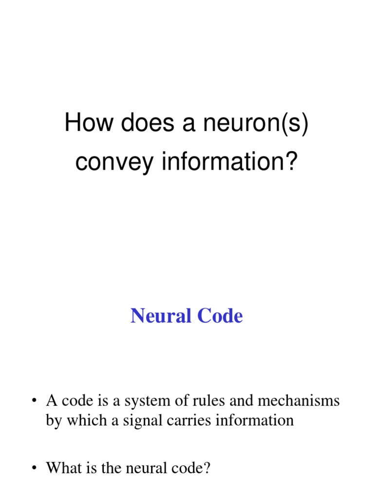 Neural Encoding: Rate vs. Temporal Codes | PDF | Stimulus (Physiology ...