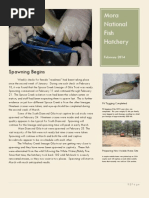 Ace Fishing: Lures and Techniques Guide | PDF | Edible Fish | Fish And  Humans
