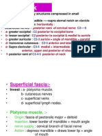 Neck Fascia Prof Talib Jawad PDF