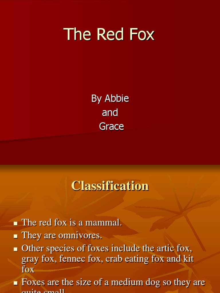 Red Fox: Facts and Classification | PDF | Science & Mathematics | Classics