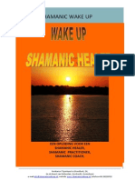 SHAMANIC WAKE UP THE HEALER 2014 Folder