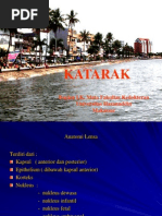 Download Kuliah Katarakppt by Erlan SN248319837 doc pdf