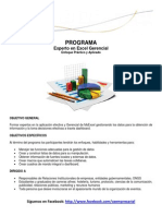 Programa Experto en Excel Gerencial-2