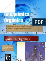 Geoquimica Organica