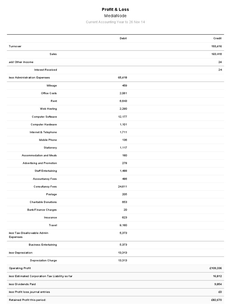 Example Profit and Loss Report | PDF | Business