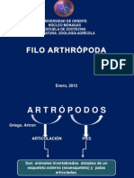 Filo Artropodos (Crustaceos)