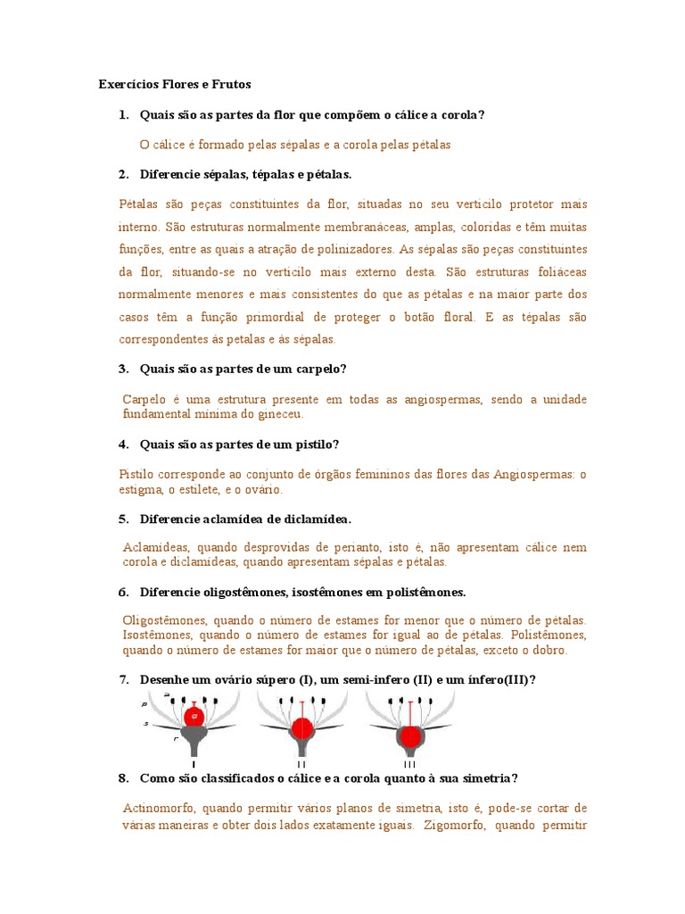 Exercícios sobre Flores e Frutos | PDF | Fruta | Plantas