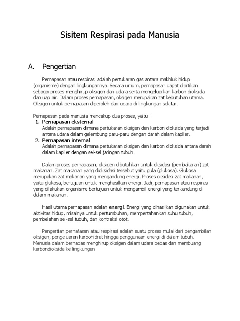 Sisitem Respirasi Pada Manusia