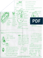 44494315-resumen-psu-biologia.pdf