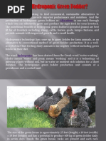 What is Hydroponic Green Fodder ?