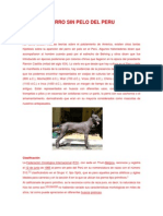 Perro sin pelo del Perú.docx