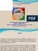 Dengue 2013