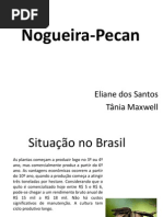 pecan frut cultura.pptx