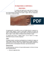 Lesion Isquemica e Hipoxica Patologia