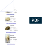 Download fosil moluska by jbrsalan SN248406249 doc pdf