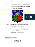 (80836597) primer informe (1)