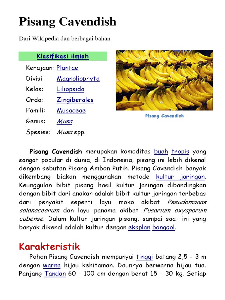 Pisang Cavendish Pdf