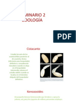 Presentación seminario 2 zoología.pptx