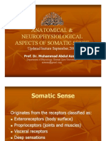 Lecture 3 Sensory Tracts & Sensory Cortex