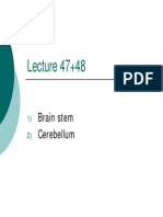 Lecture 47+48: Brain Stem Cerebellum