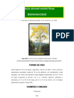 Tabebuia donnell-smithii: Árbol tropical productor de madera dura