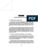 Acto Jurídico. Fernando Vidal Ramirez (Fragamento) (Requisitos de Validez)