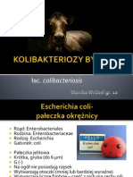 Kolibakteriozy Bydła