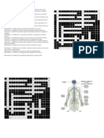 Practica Sistema Nervioso
