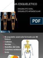 Expocision Esqueleto Axial