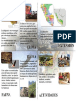 Imagen Original PDF