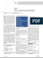 Bioetica e Investigacion