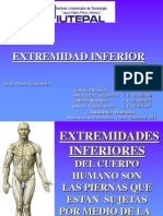 diapositiva Sistema Muscular Extremidades Inferiores Enfermeria 2 SEMESTRE SECCION C.ppt