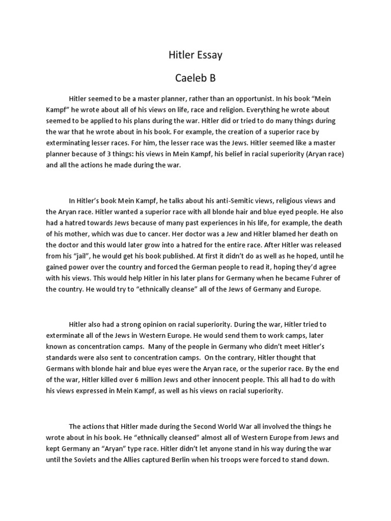 Adolf hitler synopsis 2 essay example 08 image