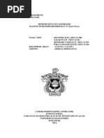 Download sintesis senyawa kompleks by Diann Nisaa SN248508506 doc pdf