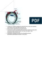 Embryology 1