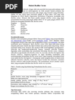 Download Bakteri Bacillus by arguar SN248514197 doc pdf