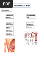 Reproduccion Humana Asistida