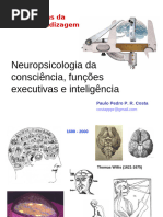 Consciência, funções executivas e inteligência 