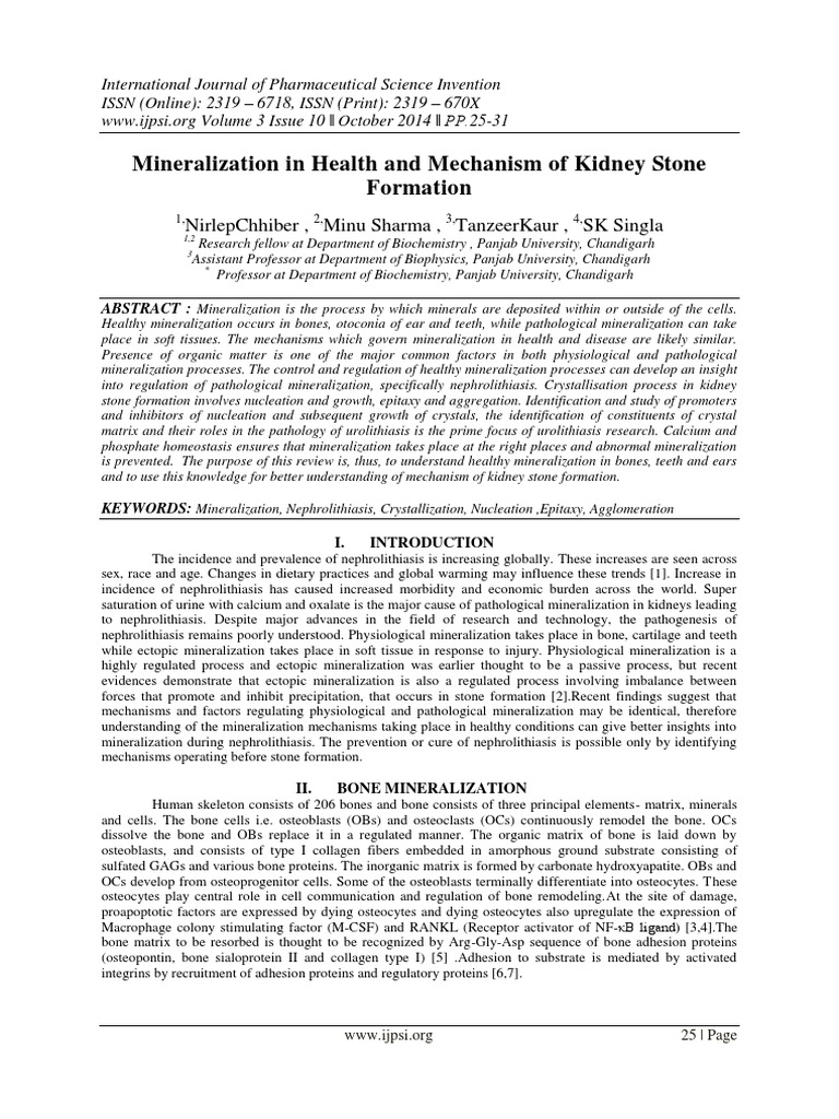 kidney stone research paper