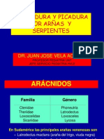DR. VELA-ARAÑAS Y OFIDEOS.ppsx