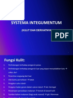 02-SPH 2010- Systema Integmentum