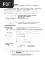 Texto de Revisão 02 Vetores