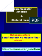 Neuromuscular Junction & Skeletal Muscle