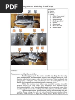 Download Data Pengamatan Morfologi Ikan Kakap by Atika Ayu Kusumaningtyas SN248542976 doc pdf