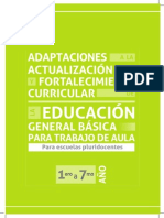 Adaptacion Curricular