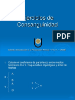 Ejercicios de Consanguinidad 2011 (1)