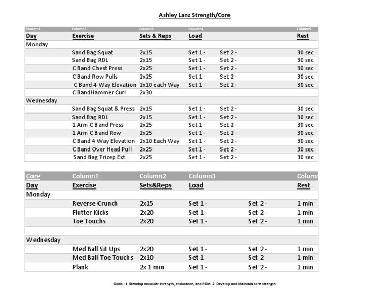 Strength and Core Workout Plan | PDF