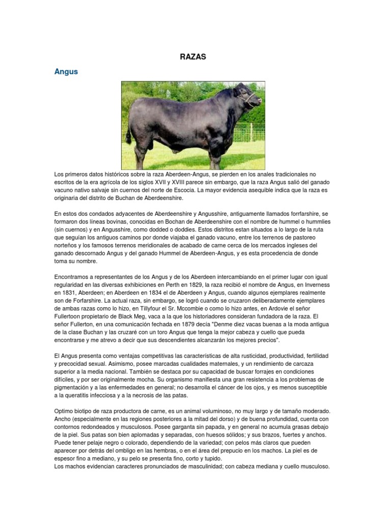 Sistemas de Producción Bovina Ganado Carne