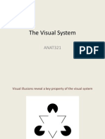 Visual System 2014, Complete