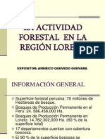 Presentación1 exportaciones forestales